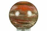 Colorful Petrified Wood (Araucaria) Sphere - Madagascar #286150-1